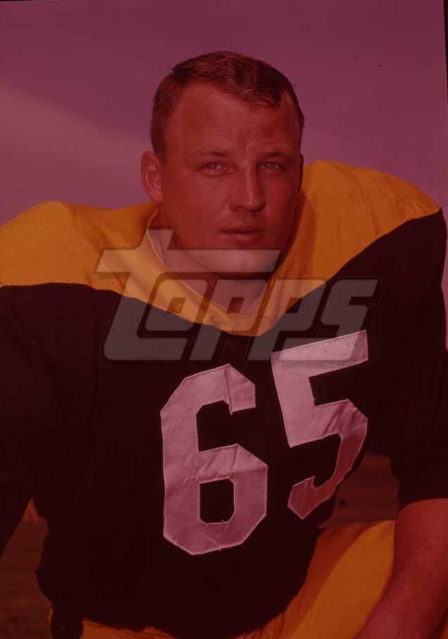 Pittsburgh Steelers 1966 (NFL)